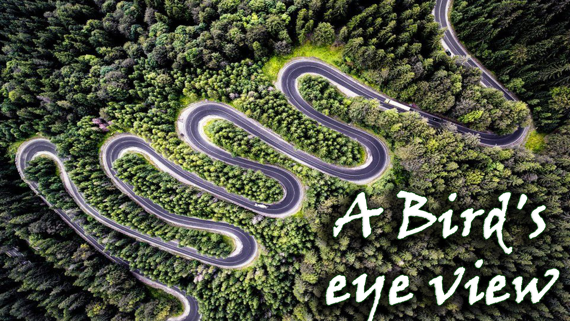 A bird’s eye view – Unleashed