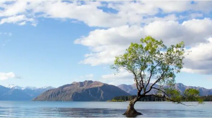 Empty Shells and Prophets